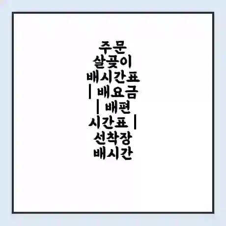 주문 살곶이 배시간표 | 배요금 | 배편 시간표 | 선착장 배시간