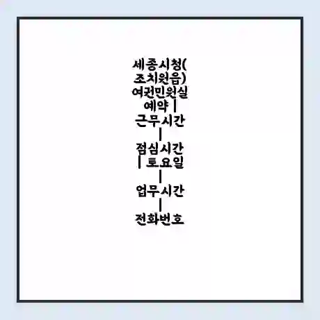 세종시청(조치원읍) 여권민원실 예약 | 근무시간 | 점심시간 | 토요일 | 업무시간 | 전화번호