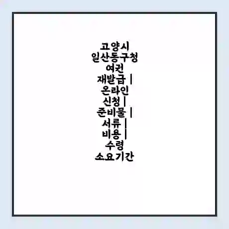 고양시 일산동구청 여권 재발급 | 온라인 신청 | 준비물 | 서류 | 비용 | 수령 소요기간