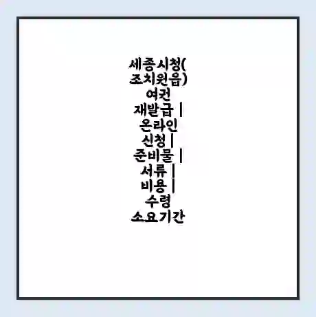 세종시청(조치원읍) 여권 재발급 | 온라인 신청 | 준비물 | 서류 | 비용 | 수령 소요기간